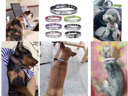 Collar reflectante personalizado para perro gato con placa de identificación grabado personalizado para perros - Imagen 6 de 20