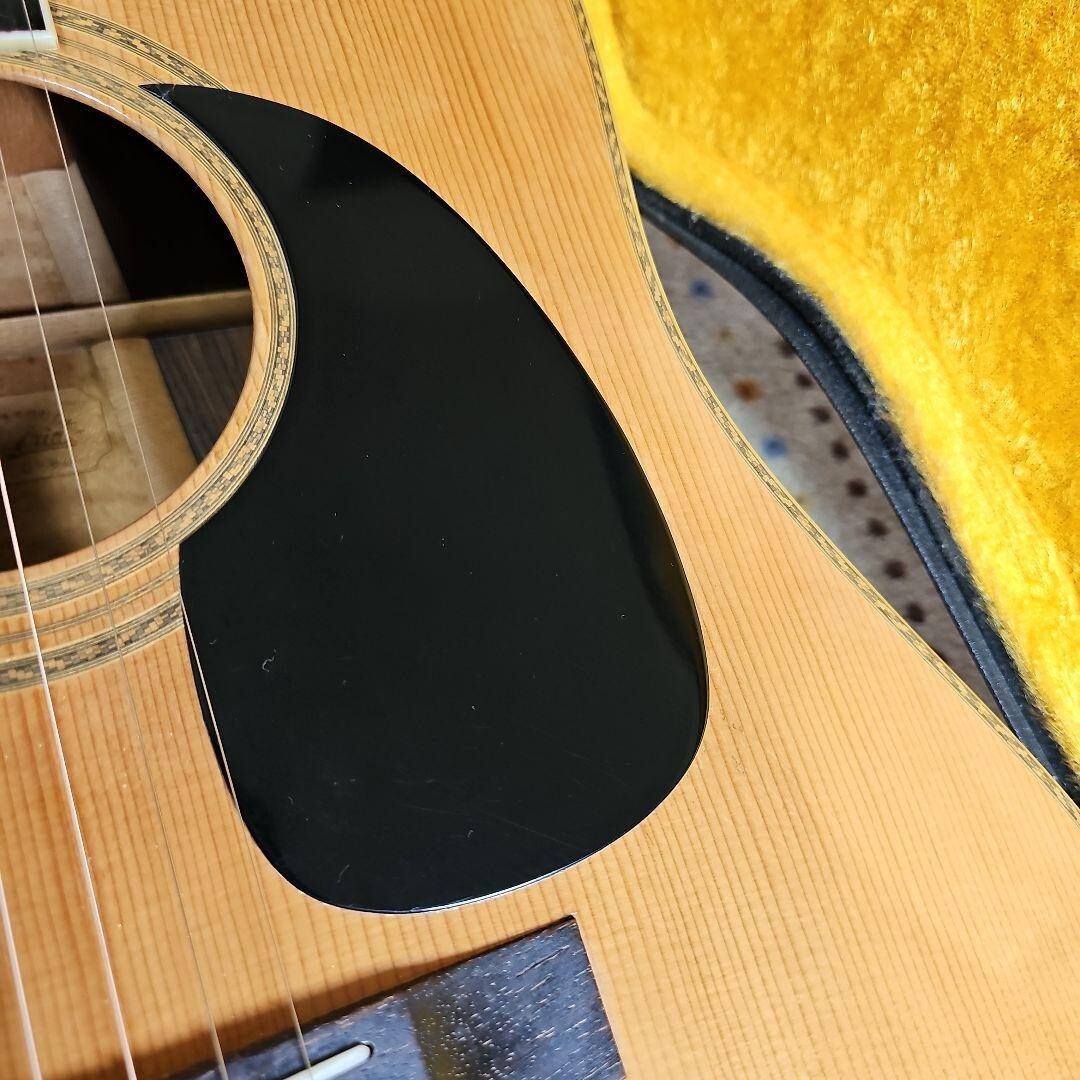 Aria Dreadnought Acoustic Guitar D-80 Vintage Used From
