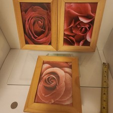 Set of 3 Rose prints 8.5x6.5
