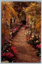 Longwood Gardens Kennett Square Pennsylvania PA VTG Postcard November 1 1965