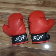 NSG JS1000 Training Boxing Gloves for Kids Adjustable Strap at Wrist 8.5"x4" Red