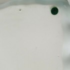 Bild 12 von 12