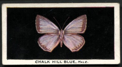 Tobacco Card, Godfrey Phillips, BRITISH BUTTERFLIES, 1923, Chalk Hill Blue, #13