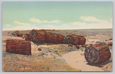 Postcard Drift Logs in Second Forest, Petrified Forest National Park, Arizona