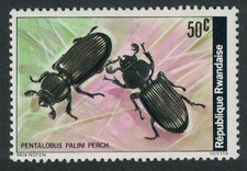 Rwanda Beetle  Pentalobus palini  1978 MNH SG#869 Sc#867