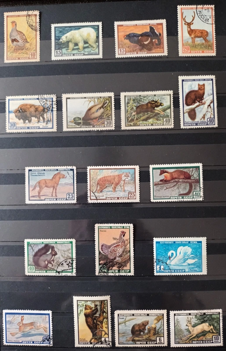 Soviet Union Wild Animal Postal Stamps for sale | eBay