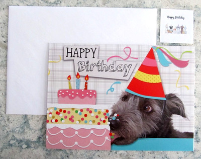 NOS Birthday Greeting Card, Env. & Seal - Gray Dog Licking Birthday Cake