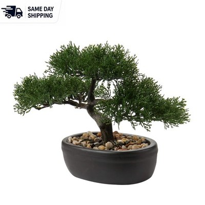 Realistic Non-Toxic Bonsai Tree with Ceramic Pot - Serenity for Home & Office