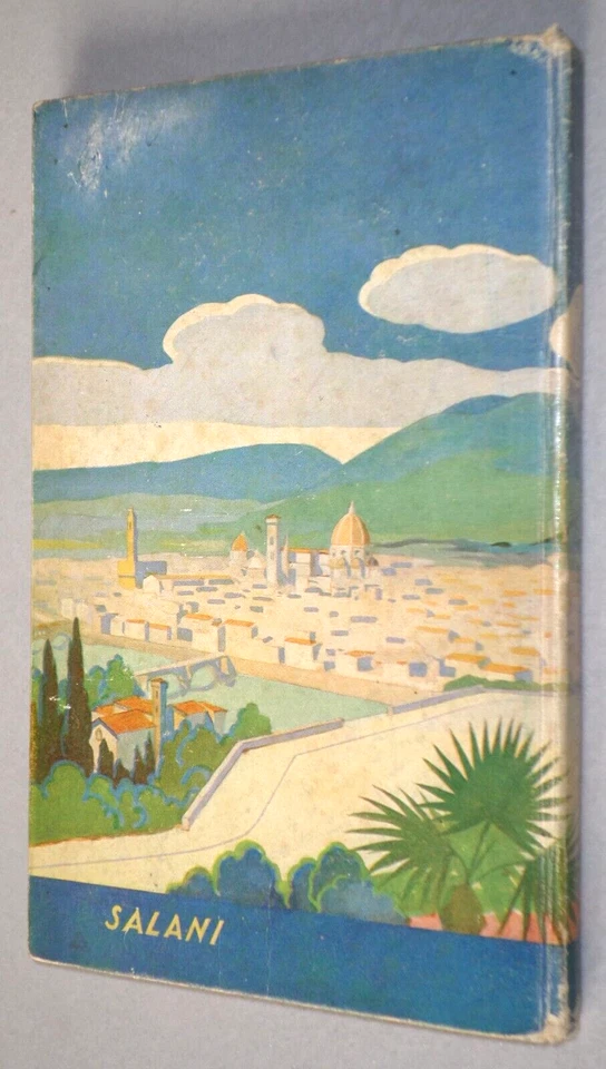 G. Chelazzi "IL ROMANZO D'UN RAGAZZO" Salani Biblioteca dei miei Ragazzi 1937 - Immagine 2 di 2