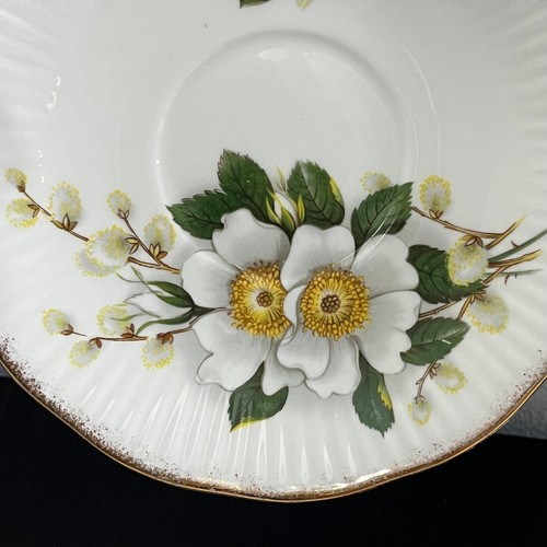 Queens Rosina Duchess White Begonia Flowers Teacup & Saucer English Bone China - Picture 7 of 12