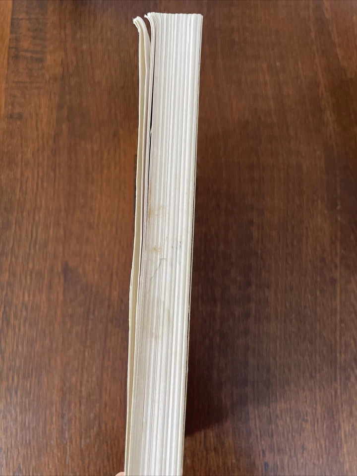 I CAN READ IT!: SONLIGHT CURRICULUM PHONICS. Homeschool By John Holzmann - Image 3 of 4