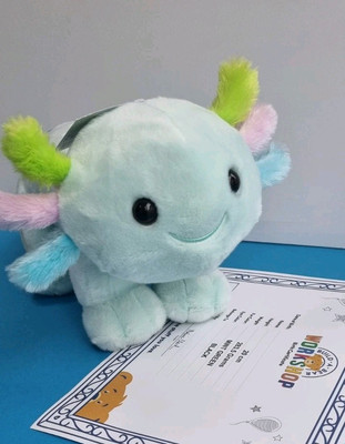 Build A Bear Sweet Spring Axolotl Stofftier Plüschtier & Zertifikat Brandneu mit Etikett 