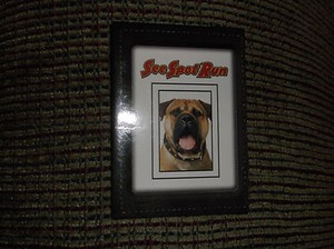 SEE SPOT RUN ( DOG ) RETAIL PROMOTIONAL MOVIE PIN
