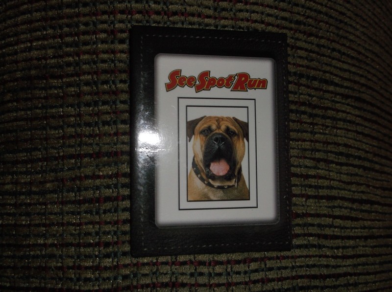 SEE SPOT RUN ( DOG ) RETAIL PROMOTIONAL MOVIE PIN