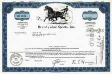Brandywine Sports Inc. 1978 Wilmington Delaware Horse Racing Equestrian Sulky