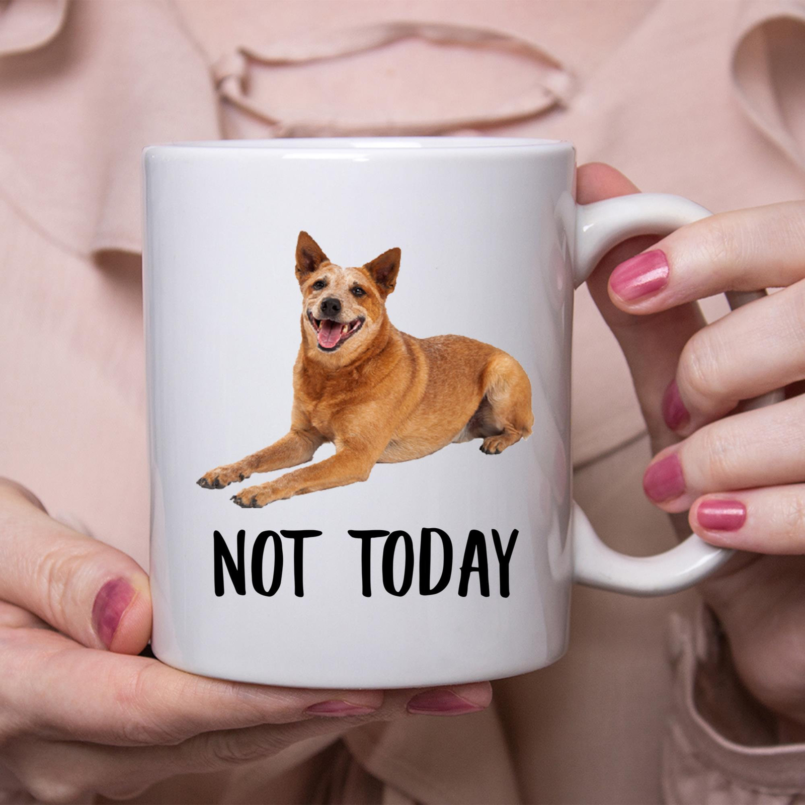 Funny Red Heeler Not Today Dog Mug Perfect Gift for Dog Lovers