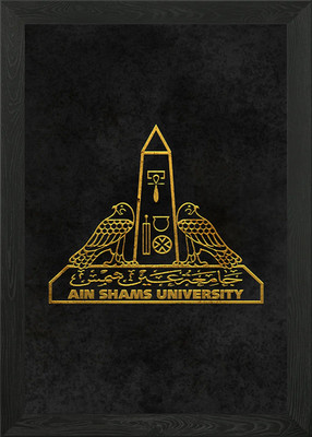 Ain Shams University Cairo Framed Wall Art Poster Canvas Print Picture