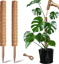 Moss Pole, 2 Pack 17 Inch Monstera Plant Support for Climbing Plants Accessories