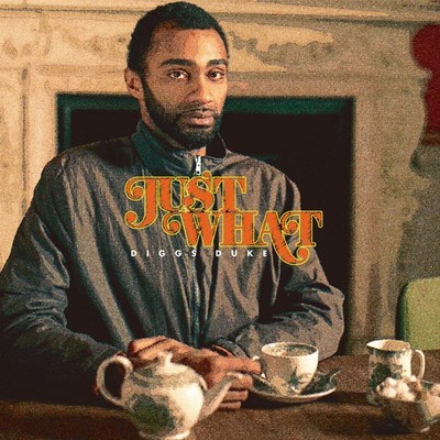 Just What Diggs Duke [CD]