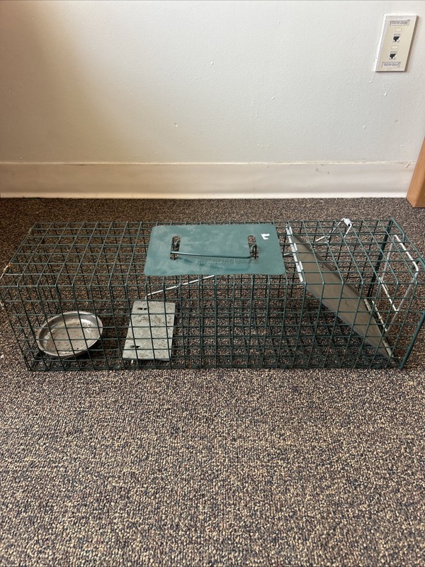 Rabbit Trap