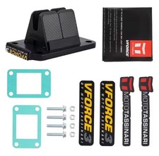 Pacco Lamellare In Carbonio V-Force 3 Minarelli Am6