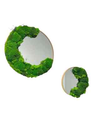 Moosbilder Set ,, Limen Verde'' und ,,Ecoscala''