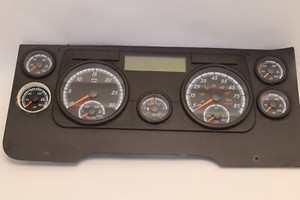 2008-2017 FREIGHTLINER CASCADIA 125 INSTRUMENT CLUSTER GAUGE SPEEDOMETER OEM