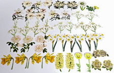 ANNA GRIFFIN 43pc MIXED WHITE/YELLOW FLOWERS Die-Cut CARD TOPPERS Embellishments
