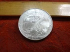 2007 United States American Silver Eagle 1 Oz 0.999 Silver Coin Lot B