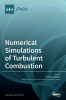 Andrei Lipatnikov | Numerical Simulations Of Turbulent Combustion | Buch (2020)