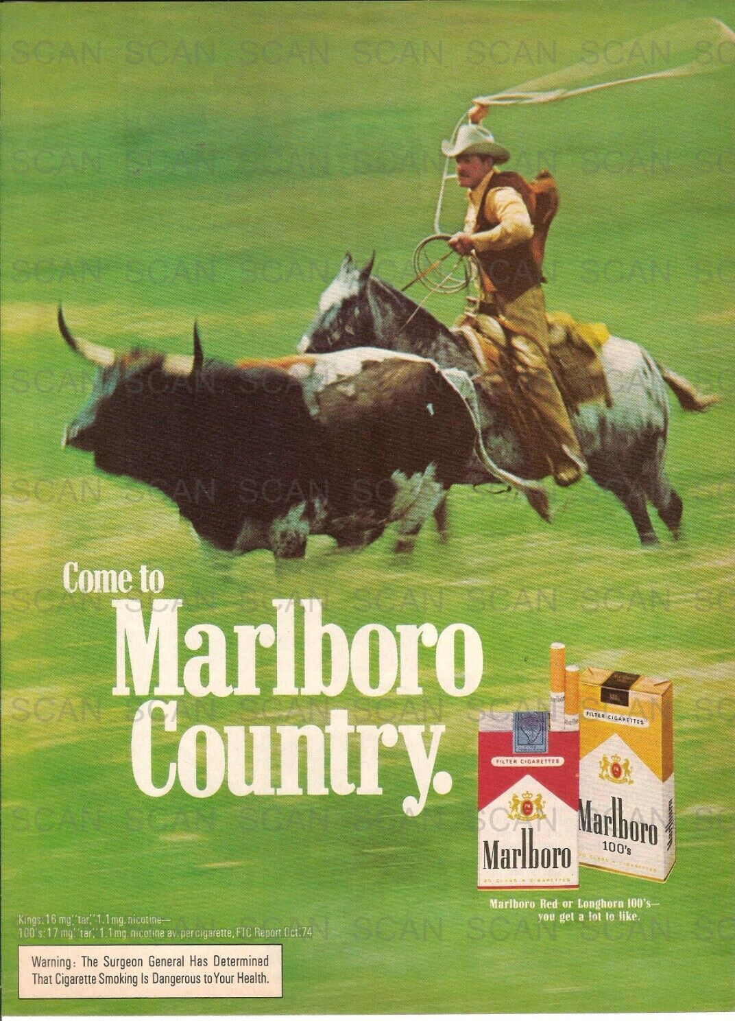 1975 Marlboro Cigarettes Vintage Magazine Ad  Marlboro Man Roping a Longhorn