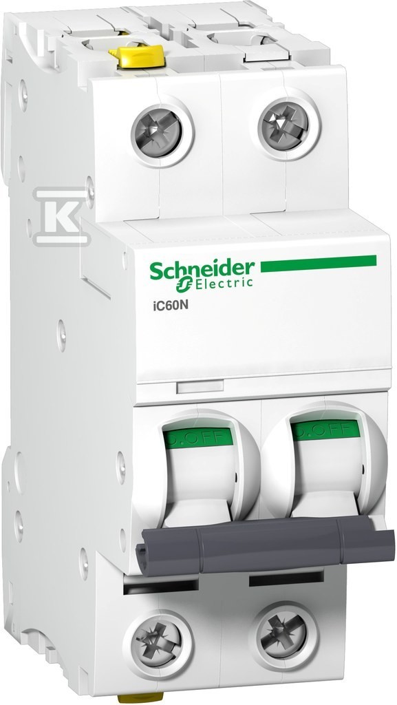 A9F04201 Schneider IC60N 2P 1A C MCB