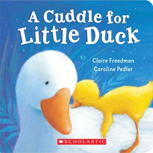 A Cuddle for Little Duck by Claire Freedman: Used