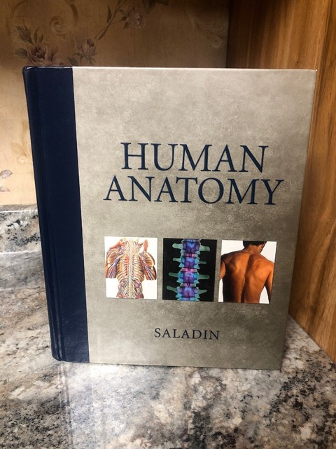 Human Anatomy by Kenneth S Saladin Hardcover Book | eBay