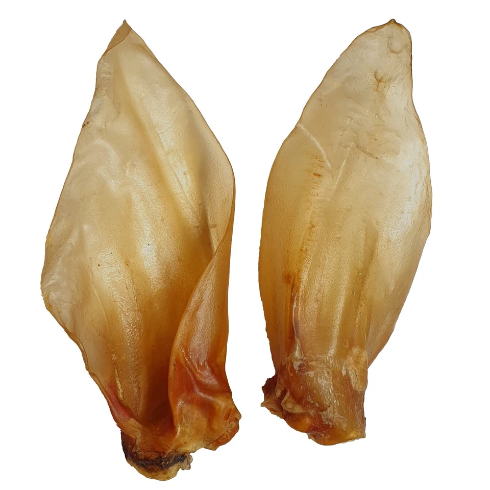 Rinderohren XL 50 - 100 Stk mit Muschel Rinderohren Kausnack Hundefutter Snack - Bild 2 von 2