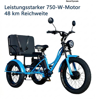 Elektro Dreirad 750W48V Senioren Trike 24 Zoll Fat Tire 48km Reichweite Mit Sitz