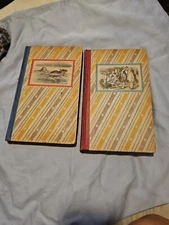 Alice in Wonderland and Through the Looking Glass 1946 Lewis Carroll 2 Vol Set