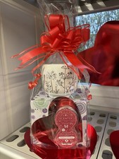 Beautiful Valentine’s Present – Rose Plant & Fragrance Electric Diffuser & Pods