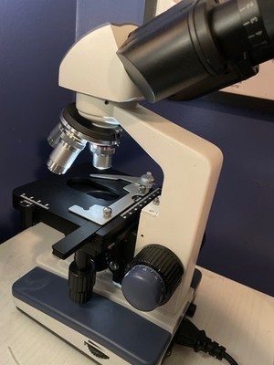 AmScope B120C 40x-2500x LED Lab Binocular Compound Microscope W/ Slides, Stains
