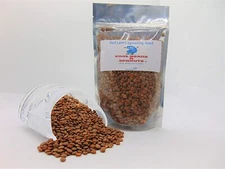 Red  Lentil Seeds for Sprouting Microgreens, COOL BEANS N SPROUTS