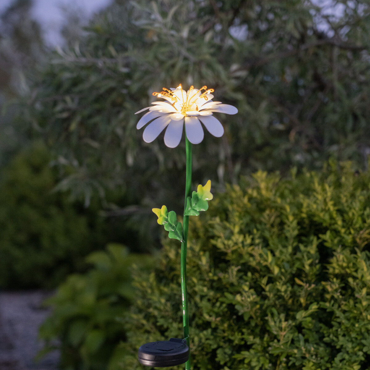 Startrading Led Solarstab Gänseblümchen - 10 Warmweiße Dew Drop Led - H: 77Cm - Dämmerungssensor - Image 2