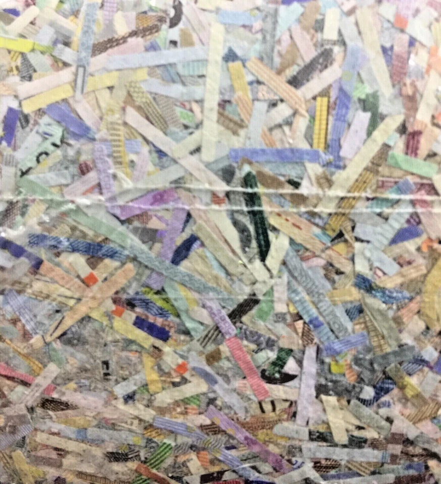 Mazuma *F2085 Germany One Million Euro Shredded Banknote with Original Pack - Image 4 of 4