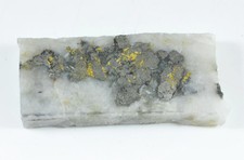 GQ-92 Gold Bearing Quartz Slab California 7.61 grams Genuine 2584.78 per troy oz