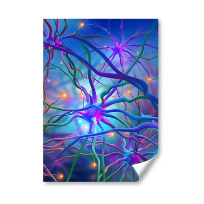 A4 - Neuronale Netze Hirnforschung Poster 21 x 29,7 cm 280 g/m² #2622