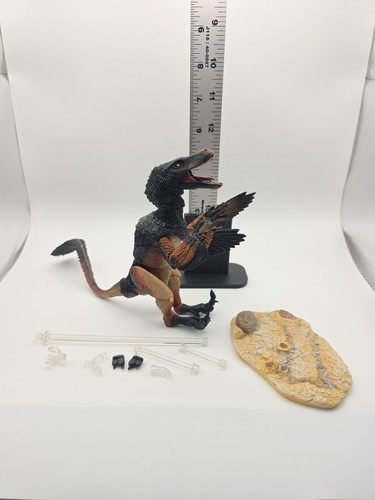 VELOCIRAPTOR MONGOLIENSIS BEASTS OF THE MESOZOIC RAPTOR SERIES BLACK LOOSE