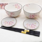 Japanese Rice Bowl, Small Plate Pair Set Mino-Yaki Cherry Blossom Japan-Made NEW