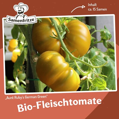 Bio-Tomatensamen Aunt Ruby`s German Green ca. 15 Samen - platzfest, wenig Säure