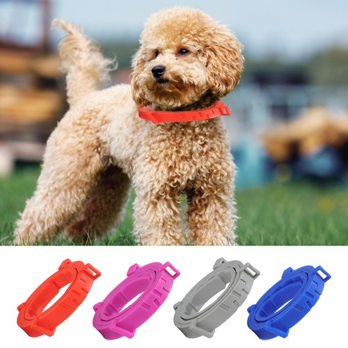 Pet Deworming Collar Adjustable Collar for Dog Cat Kitten 8 Months Protection