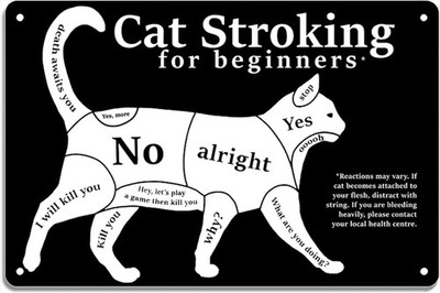 Tin Metal Signs 8x12 Cat Stroking for beginners Vintage Look Sign, bar, Cafe,Hom