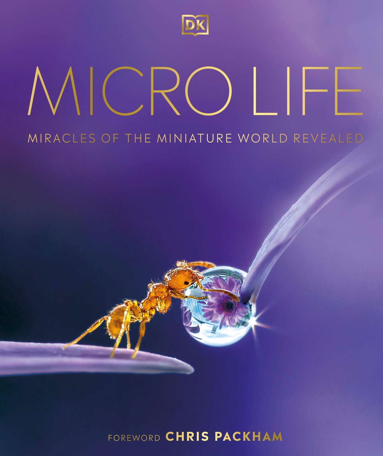 Micro Life | Miracles Of The Miniature World Revealed | Harvey |